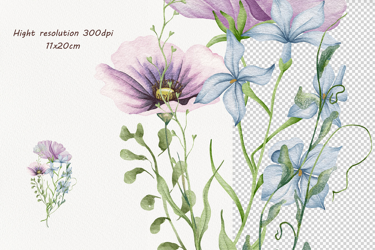 Watercolor Wildflowers Botanical Set, a Decorative Illustration by BarvArt (Photo 21 of 22)