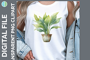 Houseplant Illustration Bundle, PNG, a Decorative Illustration by Enliven Designs (Thumbnail 4 of 8)