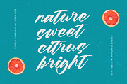 Beachit Bold Brush Font, a Script Font by stylishtype.co (Thumbnail 8 of 20)