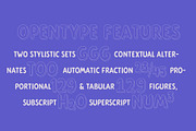 Cartooner Display Font Family, a Sans Serif Font by FansyType (Thumbnail 5 of 9)
