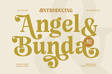 Angel & Bunda Groovy Serif Font