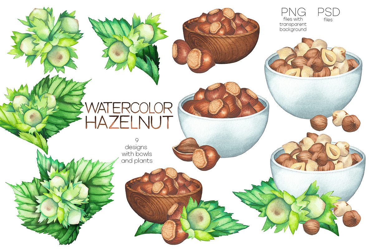 Watercolor hazelnuts and milk, a Food Illustration by Ekaterina Glazkova (Photo 3 of 10)