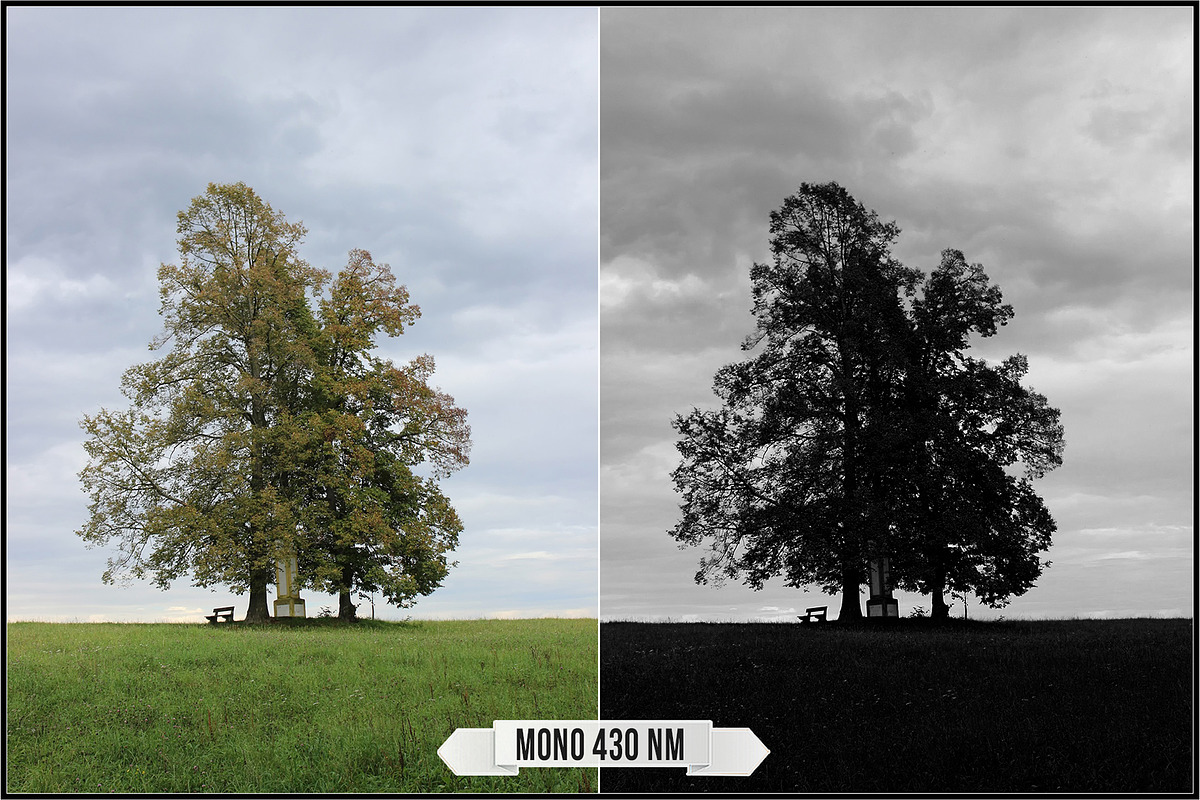 Spectrum Black & White profiles LUTs, a Plug-in Add-On by Raztrend (Photo 15 of 31)