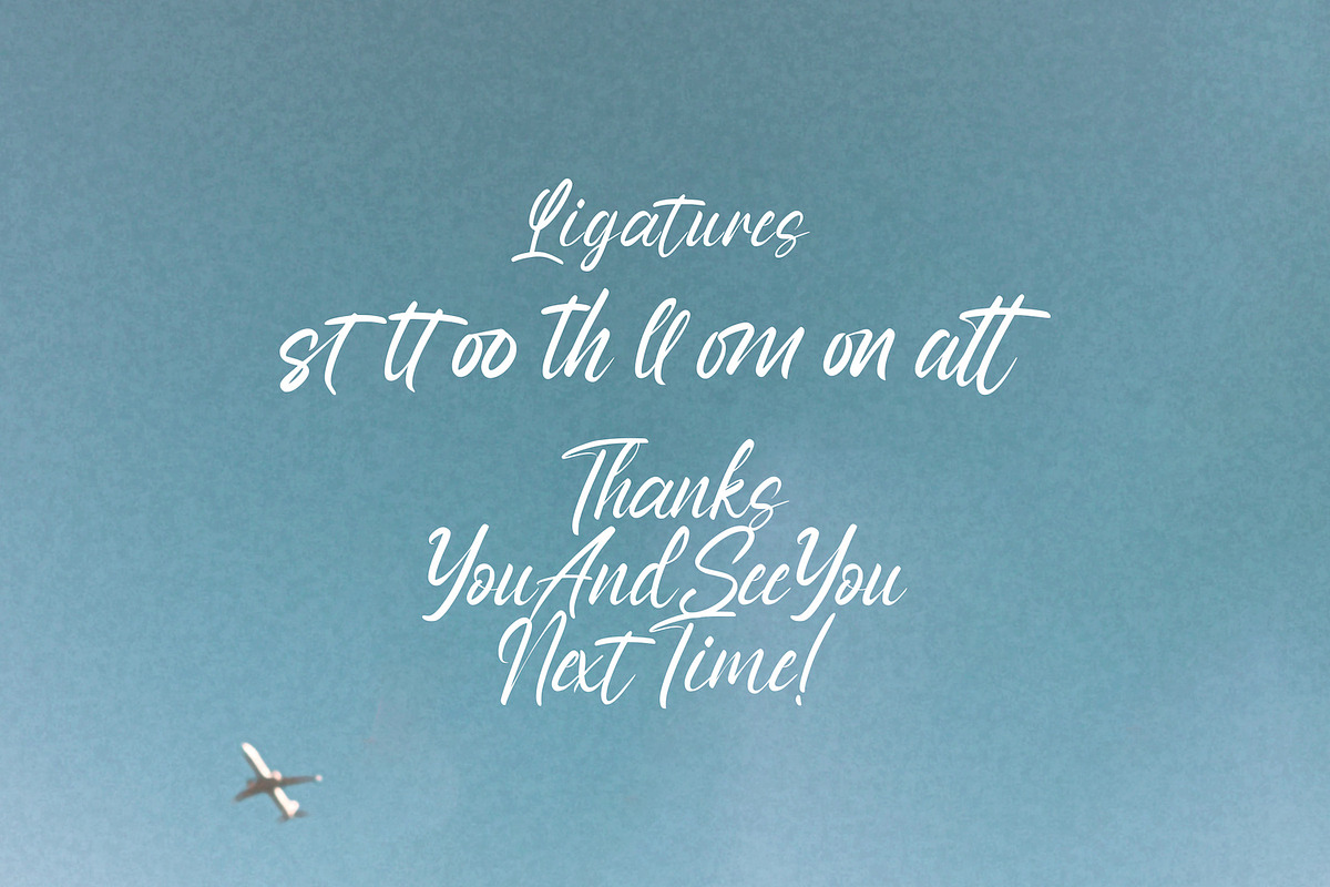 Anthony Louis - Modern Script Font, a Script Font by StringLabs (Photo 11 of 11)