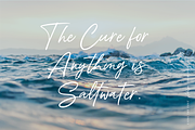 Adelyn Script Font, a Script Font by Freshly Made Type (Thumbnail 6 of 13)