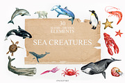 Watercolor sea creatures, an Illustration by Onceli*art (Thumbnail 1 of 8)