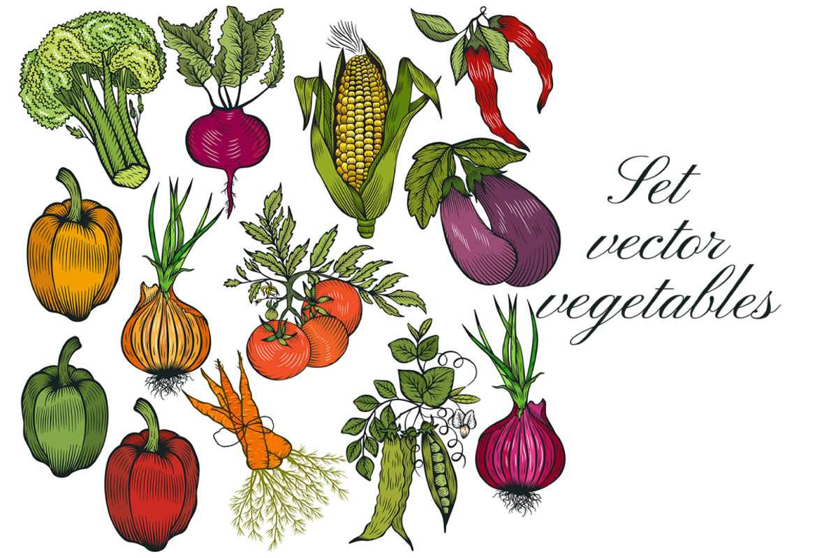 Vector vegetables, a Food Illustration by TashaDraw (Photo 5 of 13)