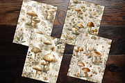Neutral Mushroom Botanical Scrapbook, a Background Graphic by V Design Creator (Thumbnail 10 of 11)