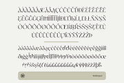 Story Guard Variable, a Sans Serif Font by Sign Studio (Thumbnail 16 of 16)