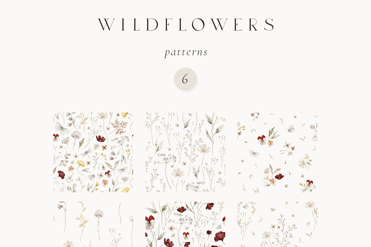 Wildflowers Watercolor Wild Botany, a Decorative Illustration by Kreker Kate (Photo 9 of 11)