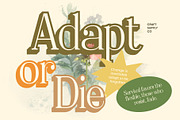 Delcy 3D, a Serif Font by Craft Supply Co. (Thumbnail 4 of 8)