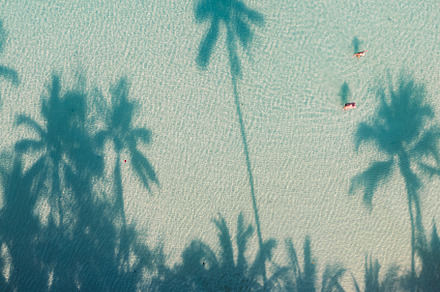 Beach with clear blue sea and palm tree shadows, a Nature Photo by Art Rachen