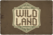 Big Bundle - 14 more fonts!, a Symbol Font by VozzyStock (Thumbnail 15 of 15)