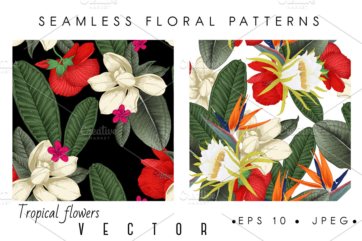 Tropical flowers. VECTOR, a Pattern Graphic by ollalya (Photo 3 of 8)
