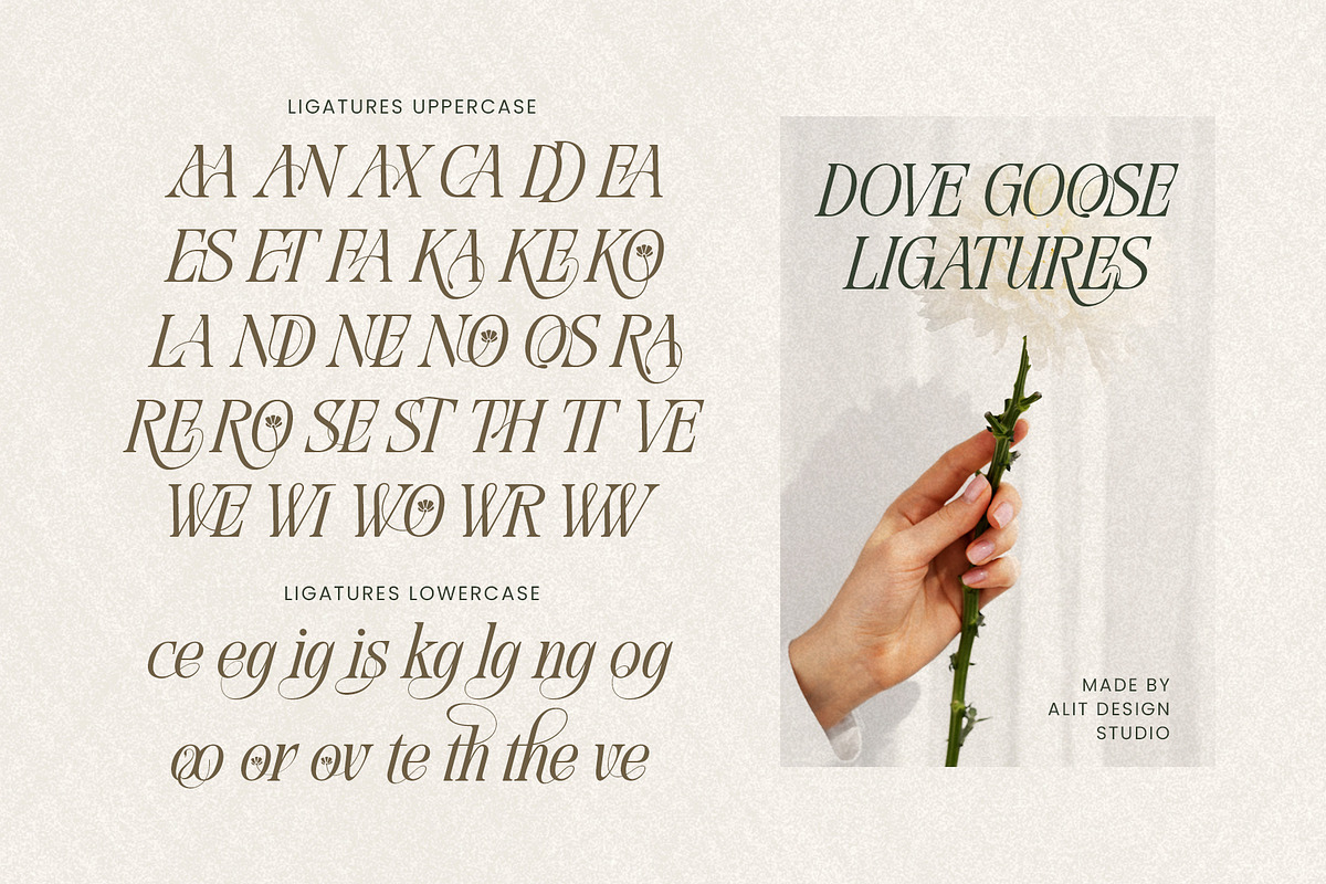 Dove and Goose Typeface, a Serif Font by alit design (Photo 19 of 20)