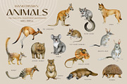 Australia Flora Fauna Clipart, an Animal Illustration by AnitaPol (Thumbnail 2 of 27)