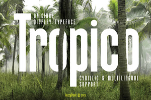 Tropico, a Blackletter Font by VozzyStock