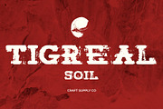 Tigreal Soil, a Slab Serif Font by Craft Supply Co. (Thumbnail 1 of 8)