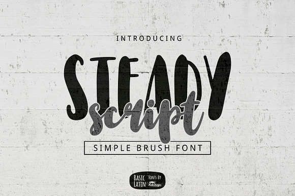 Steady Script preview 6