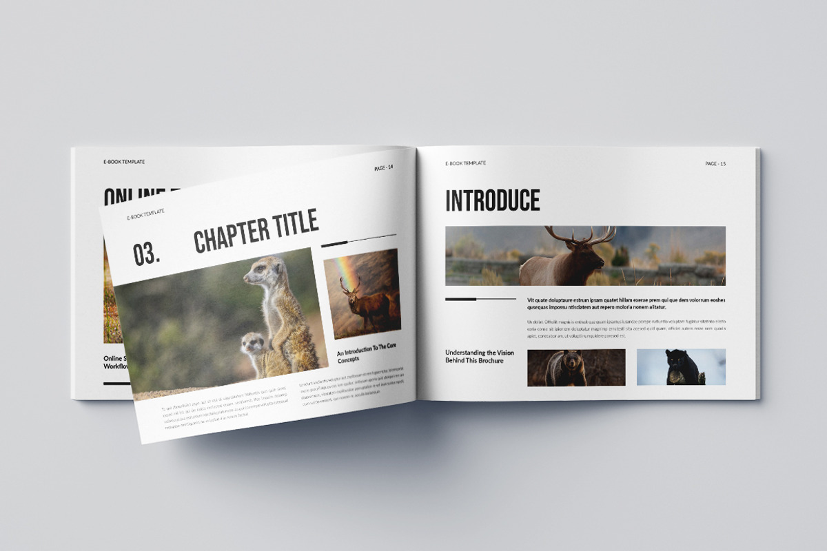 Minimal Ebook Landscape Template, a Brochure Template by Pixelpick (Photo 8 of 9)