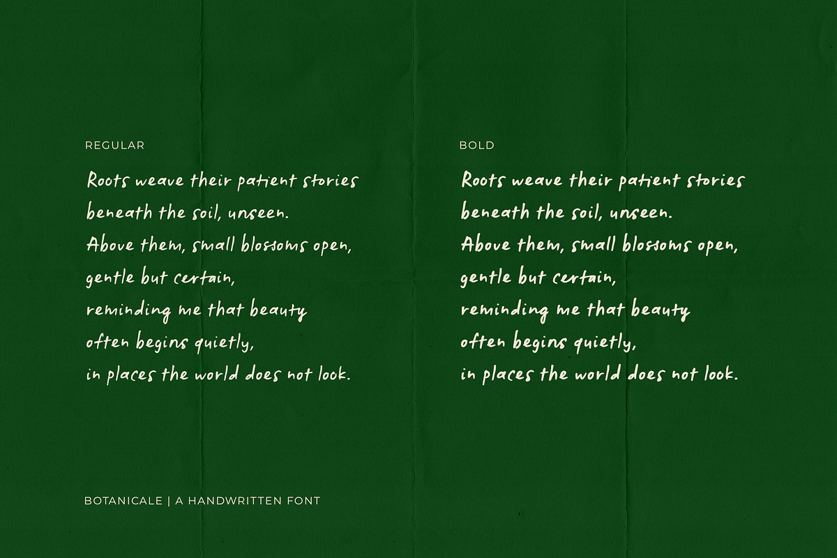Botanicale | Handwritten Font, a Handwritten Font by type peace (Photo 9 of 18)