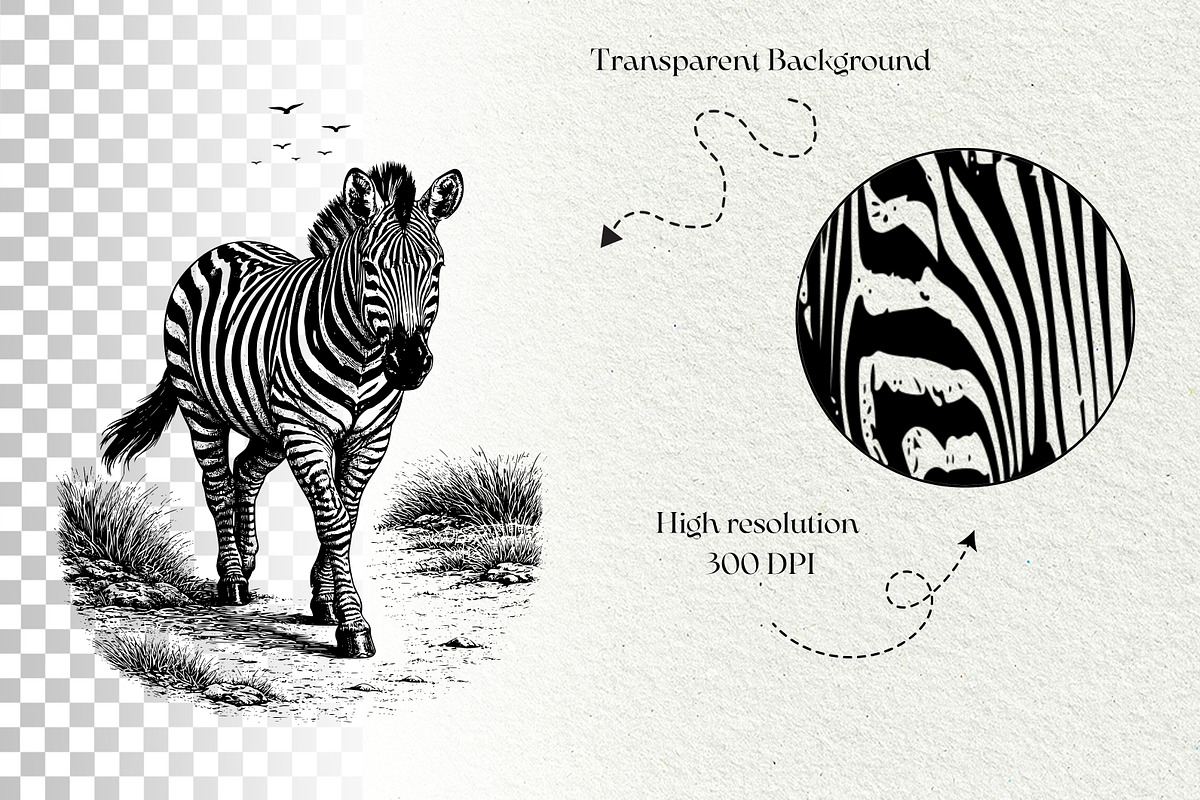 Wild Animals SVG Graphics, an Animal Illustration by DENIDigitalArtSudio (Photo 5 of 5)
