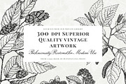 Vintage Leaf & Branch Illustrations, a Decorative Illustration by Century Library (Thumbnail 2 of 9)