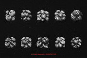 10 Bundle Dark Art Monstera Plant, an Illustration by Morspective (Thumbnail 6 of 7)