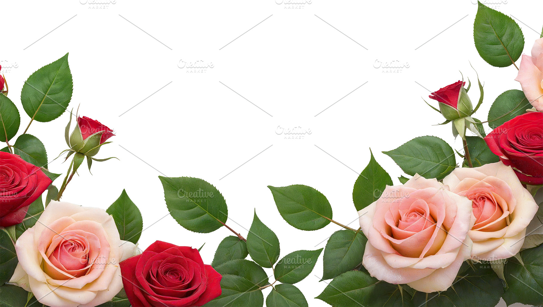 rose flowers transparent background, a Nature Photo by itakdalee