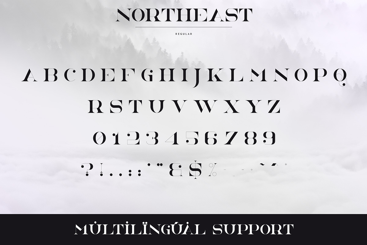 NorthEast - 4 serif fonts, a Serif Font by VP Fonts (Photo 8 of 12)