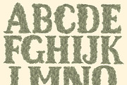 Leaves. Engraved font, an Object Graphic by Vector Engraving (Thumbnail 2 of 4)