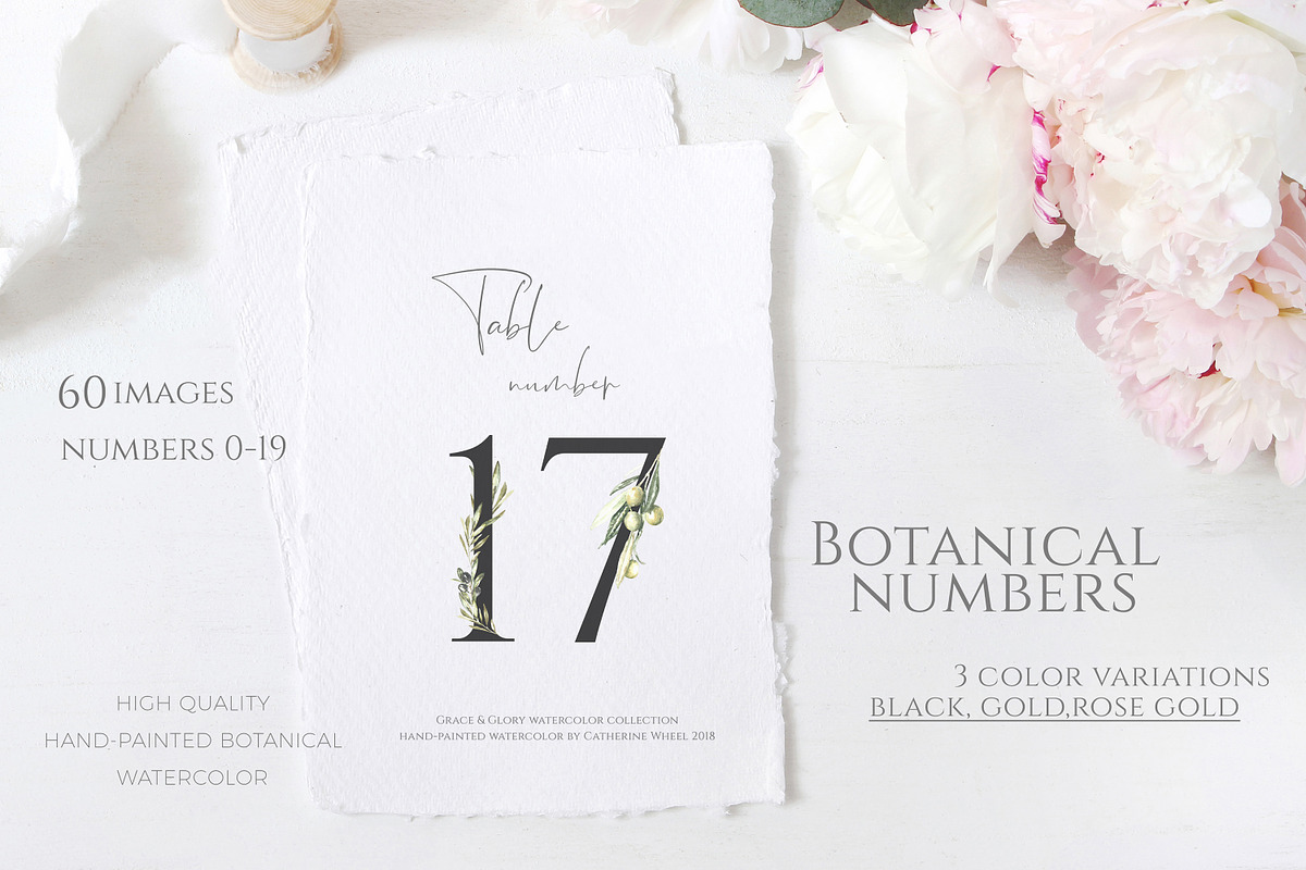 Watercolor Olive greenery clipart, a Decorative Illustration by Catherine Wheel (Photo 12 of 19)
