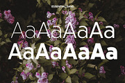 Essential Sans | 16 Font Typeface, a Sans Serif Font by Jen Wagner Co (Thumbnail 20 of 22)