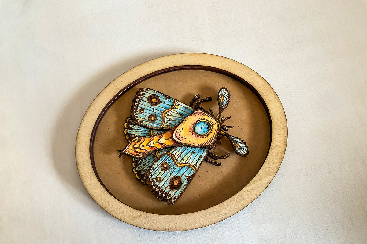 Wall decor Moth in frame laser cut, an Object Illustration by Bubert Art (Photo 2 of 5)