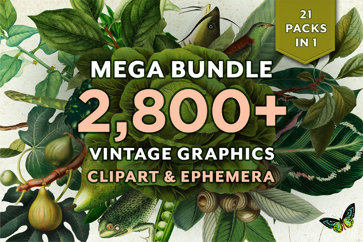 Vintage Bundle – 60% Off! – 21 Packs, an Object Graphic by The Object Atlas (Photo 1 of 26)