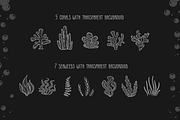  Underwater  Seaworld clipart, an Animal Illustration by Samnay Arts (Thumbnail 4 of 7)