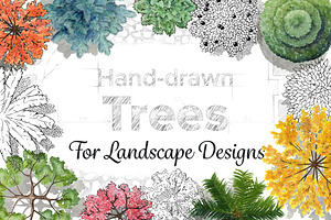 Hand-Drawn Trees