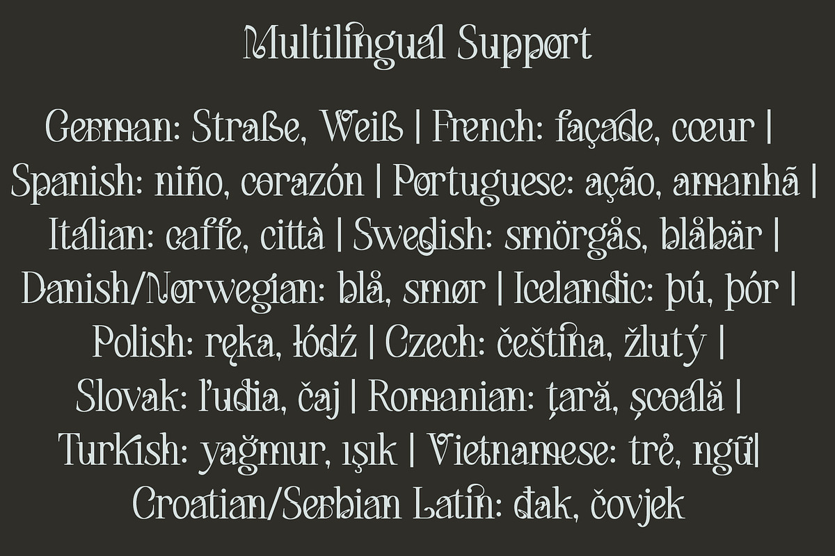 Maerulin – Serif Font, a Serif Font by NDNL Studio (Photo 8 of 13)