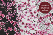 Sakura Branches (Seamless Patterns), a Pattern Graphic by Sveta Aho (Thumbnail 2 of 6)