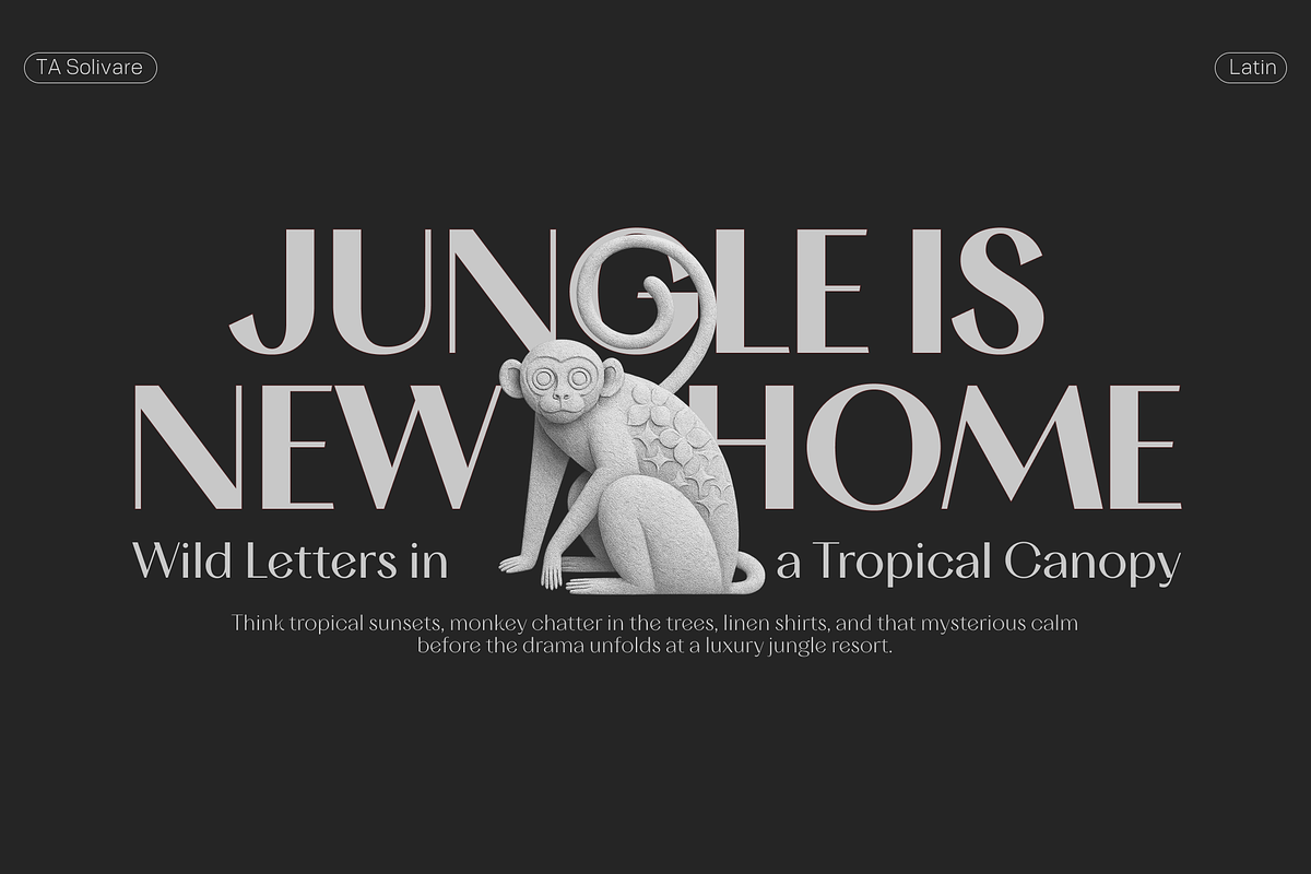 TA Solivare Variable, a Sans Serif Font by TAFT Foundry (Photo 7 of 15)