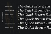 Neutical Serif Font Family (12 Font), a Serif Font by Heinzel Std (Thumbnail 16 of 19)
