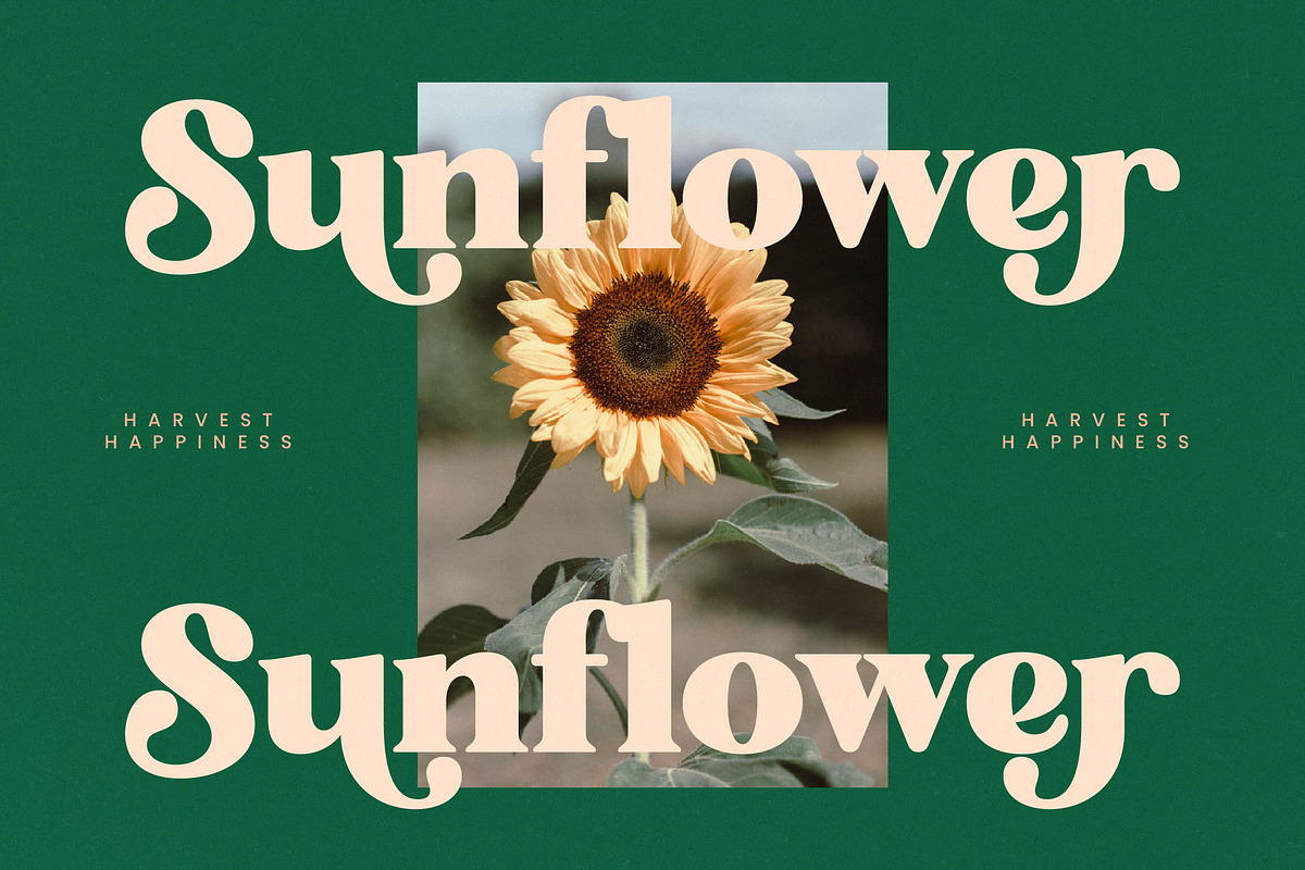 Bright Sunlist Modern Vintage Serif, a Serif Font by Letterena Studios (Photo 3 of 15)