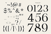 Serifant Family | Intro 50% OFF, a Serif Font by Lettertype Studio (Thumbnail 14 of 15)