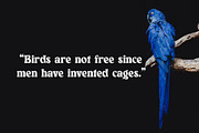Ballong, a Sans Serif Font by jaffana.co (Thumbnail 2 of 5)