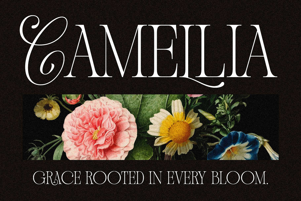 Andiena Bielsa - Hybrid Serif, a Serif Font by Arterfak Project (Photo 3 of 12)