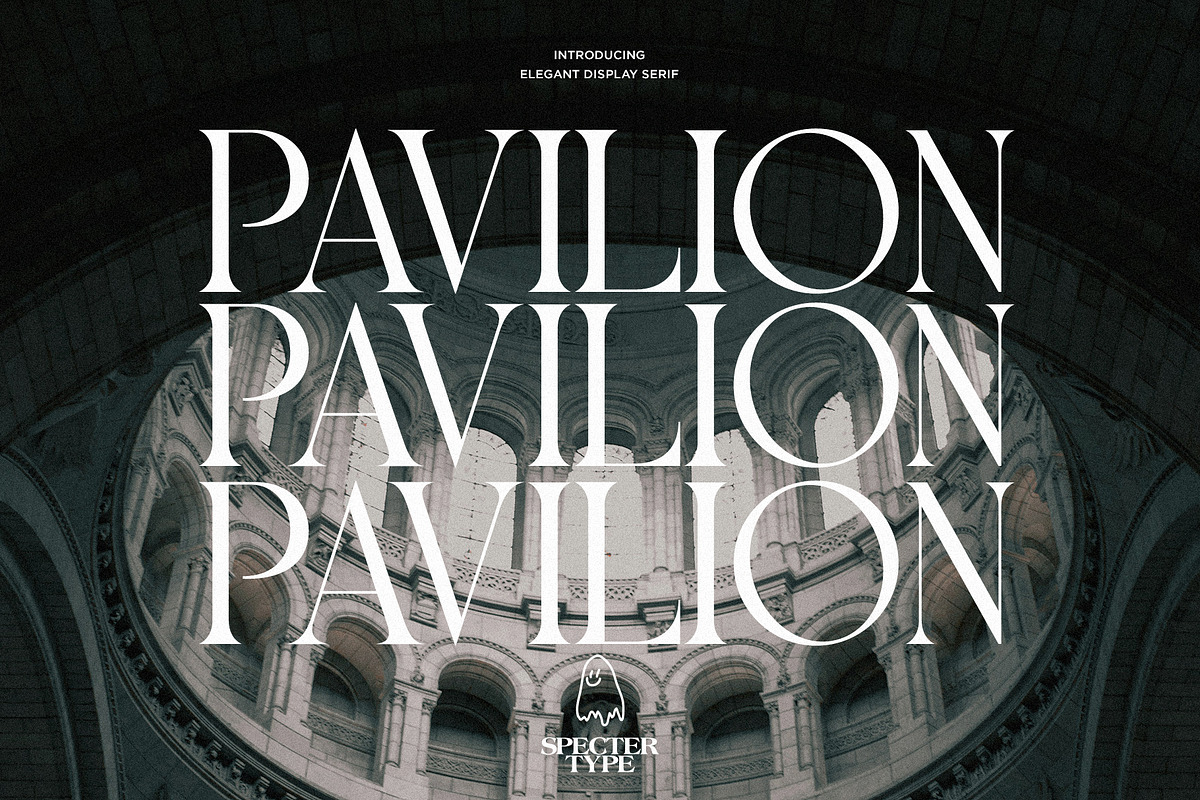 Pavilion - Elegant Display Serif, a Serif Font by spectertype (Photo 1 of 11)