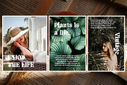 Quivert - Serif Display Font, a Serif Font by Dhabee (Thumbnail 8 of 17)