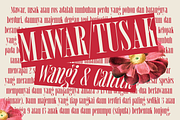 MTC Tailrose - A Quirk Serif Font, a Serif Font by Martype (Thumbnail 5 of 12)