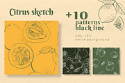 Citrus sketch. Oranges and lemons, a Food Illustration by irina.vaneeva (Thumbnail 7 of 11)
