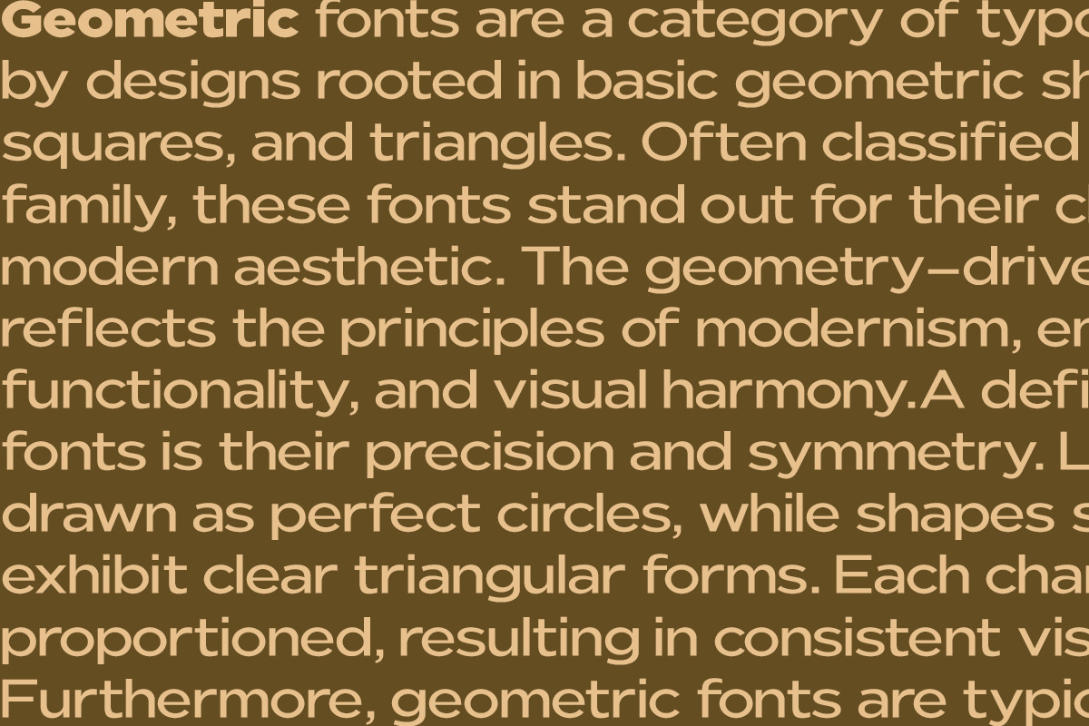 Nunito Flex Pro (54 Font), a Sans Serif Font by Positive TypeFoundry (Photo 6 of 13)